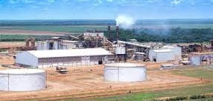 Bevap Bioenergia aposta na contratação de mulheres nos próximos anos