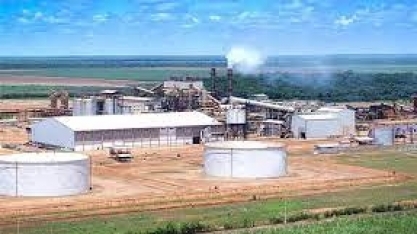 Bevap Bioenergia aposta na contratação de mulheres nos próximos anos