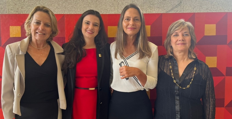 Quatro mulheres compõem a representação da sociedade civil e a academia no Conselho Nacional de Política Energética