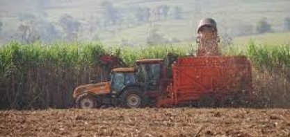 Cana: moagem deve ser de 597 mi/t no Centro-Sul em 2023/24; produtividade deve crescer 7%, diz trading