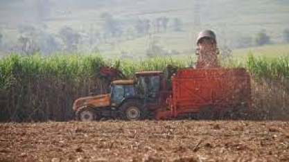 Cana: moagem deve ser de 597 mi/t no Centro-Sul em 2023/24; produtividade deve crescer 7%, diz trading