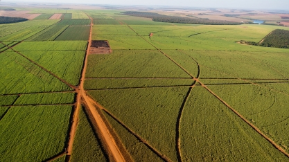 A Raízen é patrocinadora do 11º Encontro Cana Substantivo Feminino