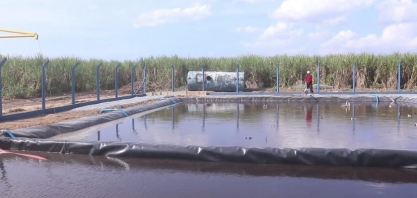 Projeto de usina alagoana quintuplica produção de microrganismos para enriquecer o solo