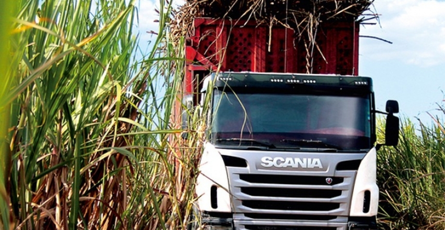 A safra 22/23, que teve início em setembro passado, segue com mais 14 usinas em operação. - Foto: Reprodução/Internet