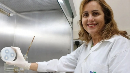 Mapa cria grupo de trabalho para aprimorar pesquisas agropecuárias no Brasil