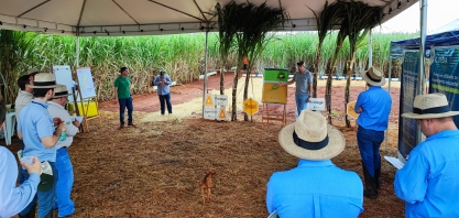 ADAMA e o CTC promovem dias de campo unindo biotecnologia e biossoluçôes