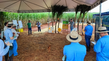 ADAMA e o CTC promovem dias de campo unindo biotecnologia e biossoluçôes