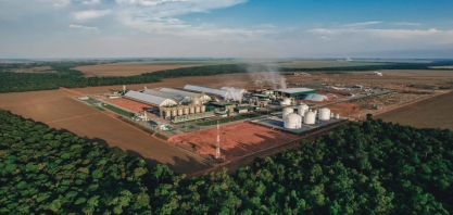 Biomassa com captura de carbono na aposta brasileira para zerar emissões até 2050