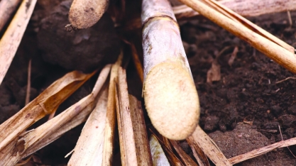 ATR tem variação de -0,84% em fevereiro