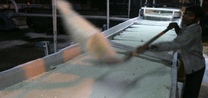 Produção de açúcar da Índia aumenta 1,8% no acumulado da safra, diz associação