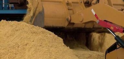 Usina em Alagoas aposta na produção de etanol feito com milho