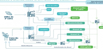 Oportunidades para a bioenergia