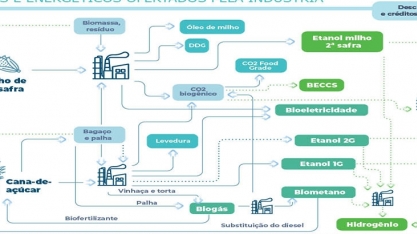 Oportunidades para a bioenergia
