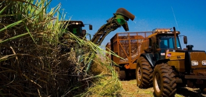 MG: próxima safra de cana pode ser recorde