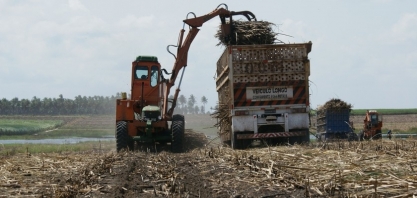 Alagoas: moagem avança na safra 22/23 e ultrapassa 17 mi de toneladas de cana processadas