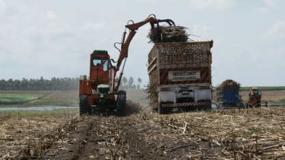 Alagoas: moagem avança na safra 22/23 e ultrapassa 17 mi de toneladas de cana processadas