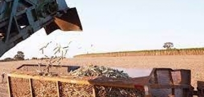 Chinesa Cofco quer ampliar parceria comercial com Brasil, diz ministério