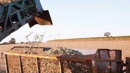 Chinesa Cofco quer ampliar parceria comercial com Brasil, diz ministério