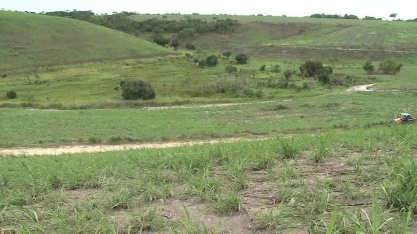 Produtores de cana de AL calculam prejuízo de R$ 340 milhões por causa do excesso de chuva no estado