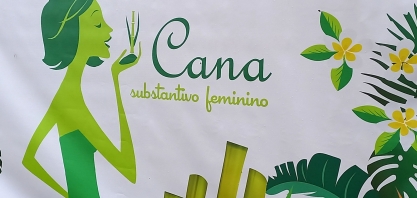 Diretora Agroindustrial da Raízen foi uma das palestrantes do 11º Encontro Cana Substantivo Feminino