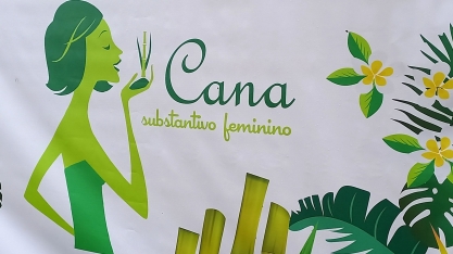 Diretora Agroindustrial da Raízen foi uma das palestrantes do 11º Encontro Cana Substantivo Feminino