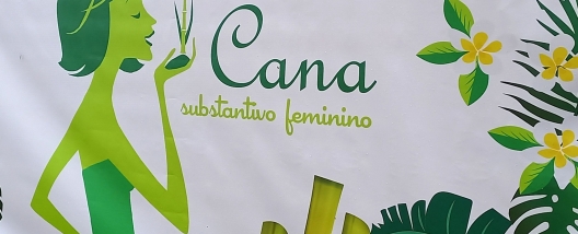 Diretora Agroindustrial da Raízen foi uma das palestrantes do 11º Encontro Cana Substantivo Feminino
