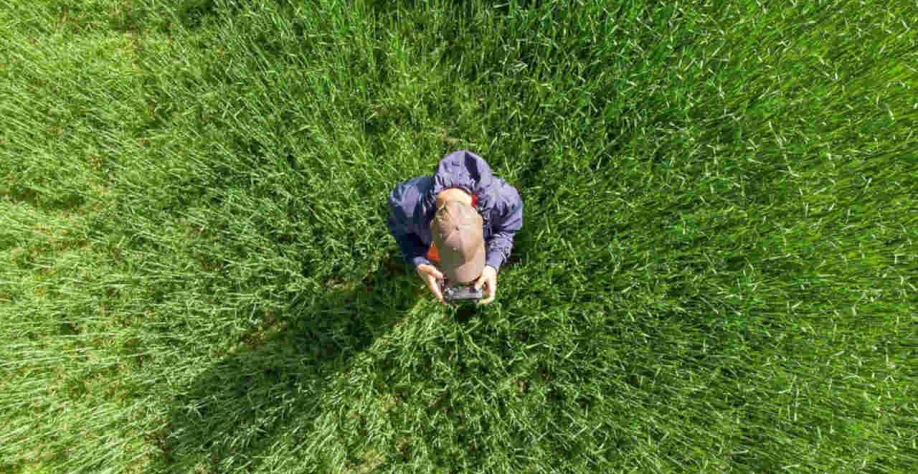 Por trás das telas, a São Martinho também contratou profissionais específicos para trabalhar nesse novo segmento da empresa, como especialistas em transformação digital e desenvolvedores de tecnologia (Imagem: Pixabay/Pascvii )