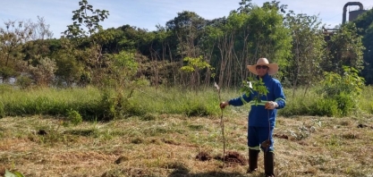 Projeto da Enersugar amplia reflorestamento na Água do Pau D’Alho