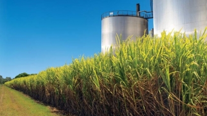 Unica comenta a reoneração dos combustíveis e fala sobre o papel do etanol