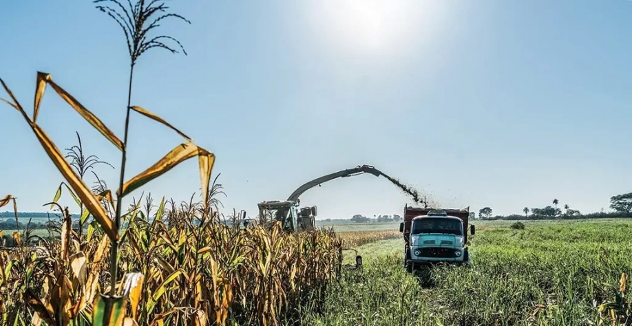 O Brasil é um dos líderes globais no agronegócio e há potencial para crescimento no futuro, o que exige profissionais capacitados (Alexis Prappas/Exame)
