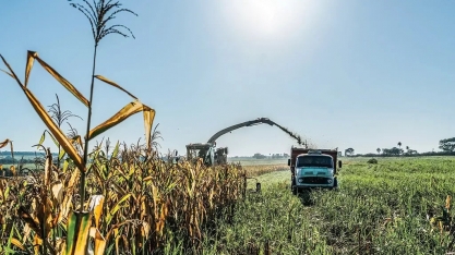 Primeira faculdade voltada ao agronegócio terá sede em Ribeirão Preto (SP)