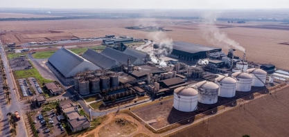 Safra 23/24 da cana no Centro-Sul deve ter alta de 7% e produção 'maximizada' de açúcar frente a déficit mundial, projeta consultoria