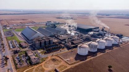 Safra 23/24 da cana no Centro-Sul deve ter alta de 7% e produção 'maximizada' de açúcar frente a déficit mundial, projeta consultoria