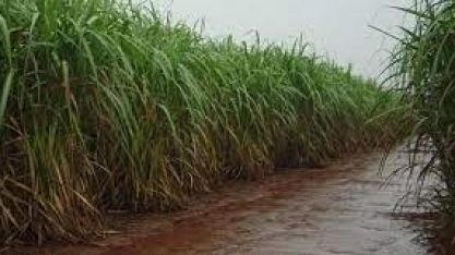 Frente fria traz temporais e massa de ar frio vai derrubar temperaturas; confira