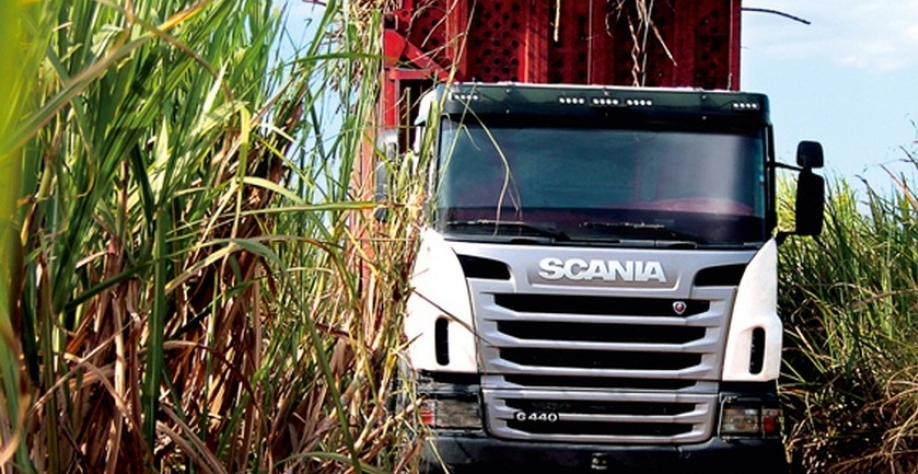 A safra 22/23, que teve início em setembro passado, segue com mais 14 usinas em operação. - Foto: Reprodução/Internet