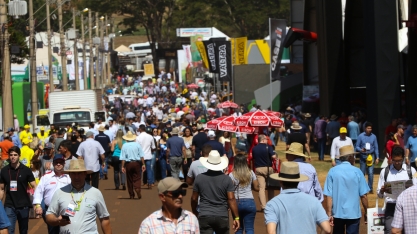 Com irrigação em alta, Netafim projeta Agrishow de bons negócios