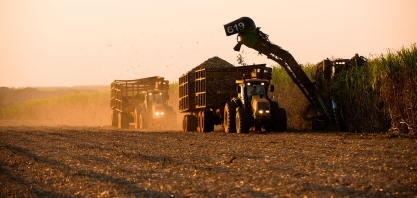 Clima ajuda e produtividade dos canaviais na safra 2022/23, na região Centro-Sul, cresce 8,1 %