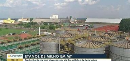 Produção de etanol de milho deve passar de 46 milhões de toneladas em MT