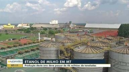 Produção de etanol de milho deve passar de 46 milhões de toneladas em MT