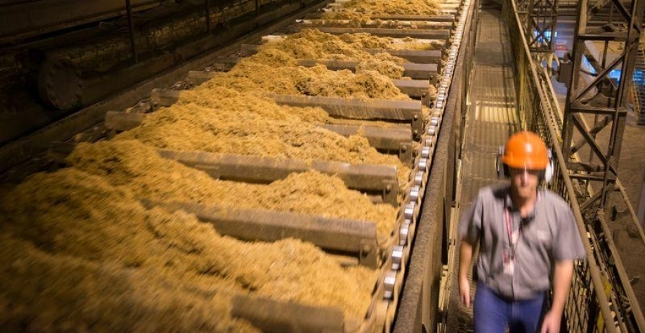 Raízen ampliou economia de bagaço, subproduto que pode ser utilizado na cogeração de energia