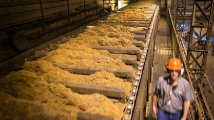 Com programa de melhoria contínua, Raízen obtém R＄ 58 milhões em ganhos de produtividade e eficiência