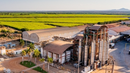 Agrovale implanta metodologia Lean de melhoria contínua