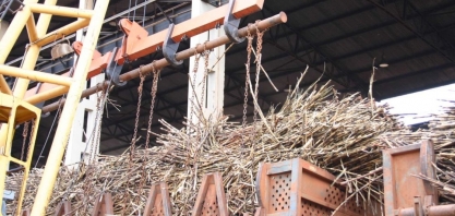 Minas encerra safra de cana com alta de 10% na moagem