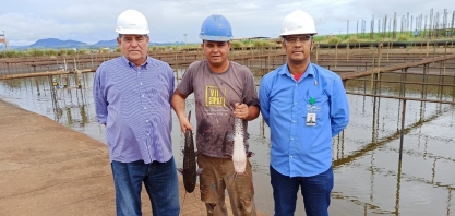 Profissionais de usina goiana ganham peixes