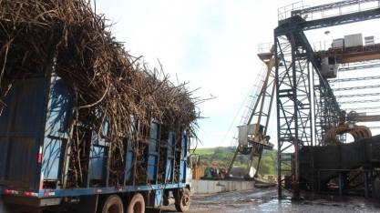 Sindaçúcar-AL: ciclo 22/23 já supera moagem final da safra passada