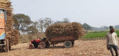 Açúcar/Índia: produção até 15 de abril soma 31,1 milhões de t (-5,4%), diz Isma