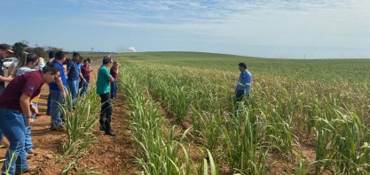 Usinas do setor sucroenergético priorizam conservação do solo