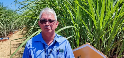 Para Usina São Luiz, união das variedades BT com biossoluções é garantia de sustentabilidade e produtividade
