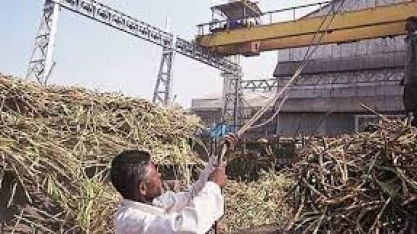 Produção de açúcar da Índia pode cair para 32,8 milhões de toneladas, diz órgão comercial