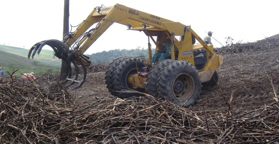  A safra 22/23, que teve início em setembro do ano passado, segue com dez usinas ainda em operação no estado - Foto: Assessoria